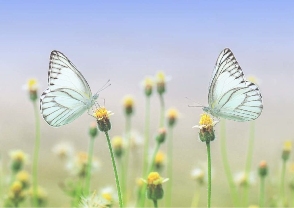 Einführungsseminar Energetische Körperpsychotherapie